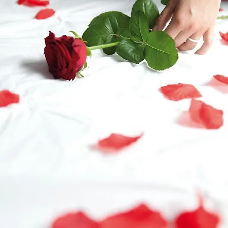 Appartement Les Béthunoises - Design