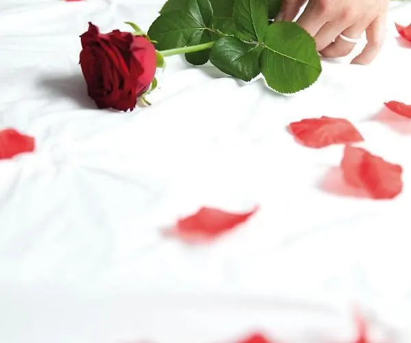 Apartment Design By Les Bethunoises